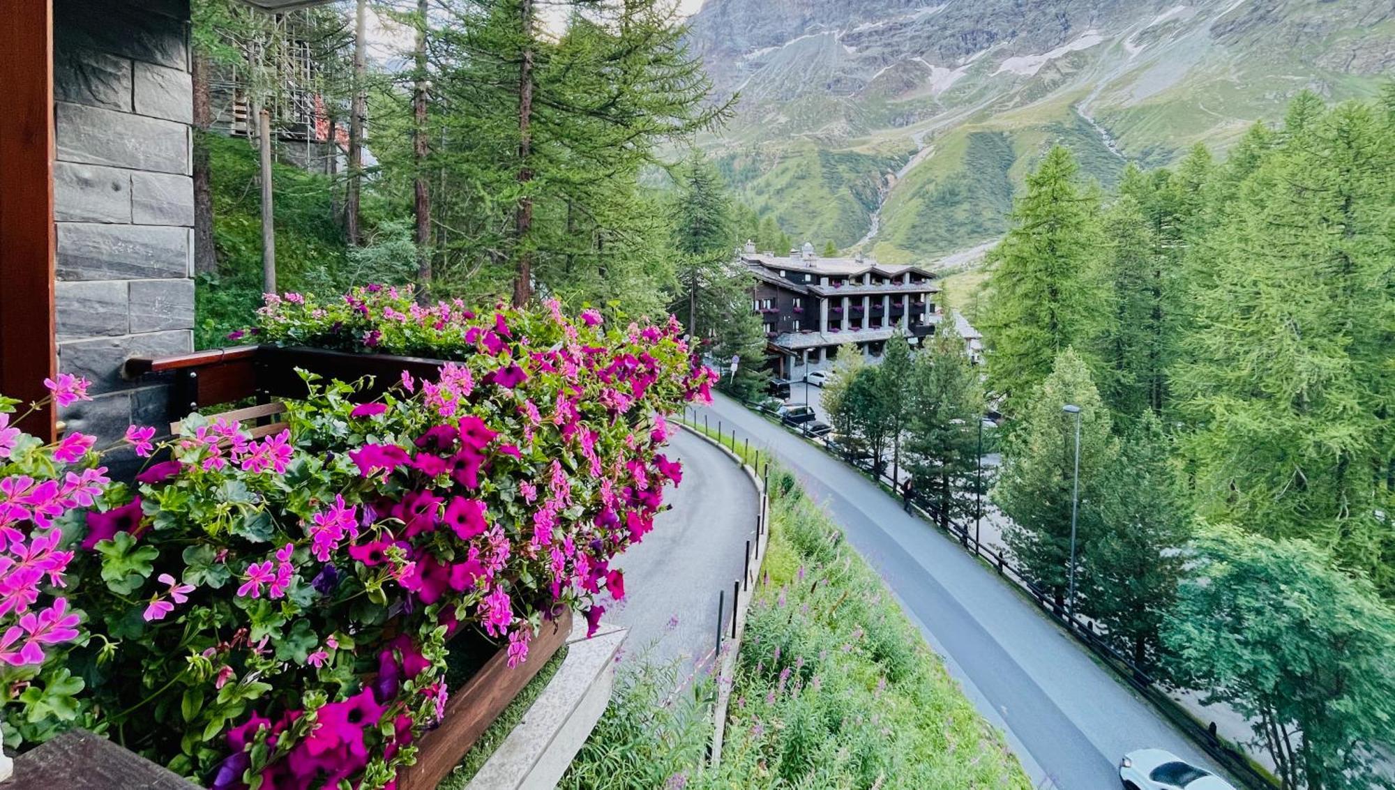 Panoramic Apartment Breuil-Cervinia Dış mekan fotoğraf